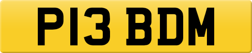 P13BDM