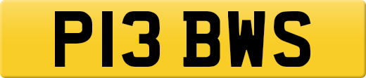 P13BWS