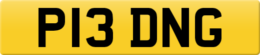P13DNG