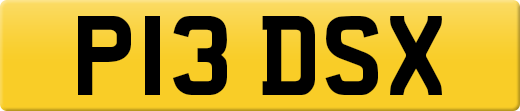 P13DSX