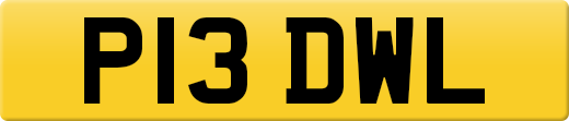 P13DWL