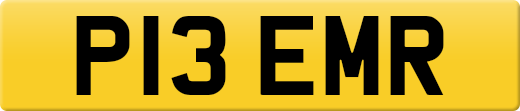 P13EMR