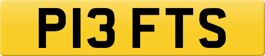 P13FTS