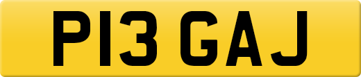 P13GAJ