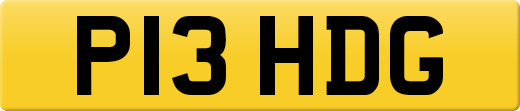 P13HDG