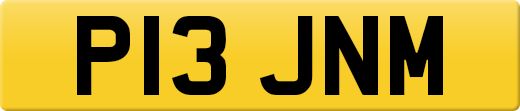 P13JNM