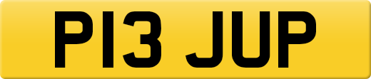 P13JUP