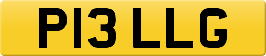 P13LLG