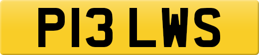 P13LWS