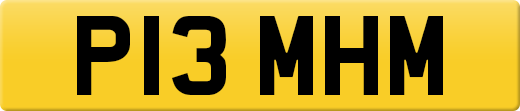 P13MHM