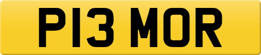 P13MOR