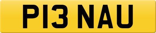 P13NAU