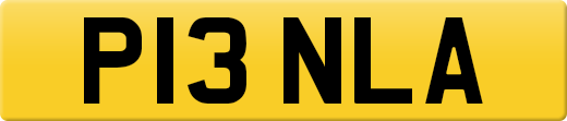 P13NLA