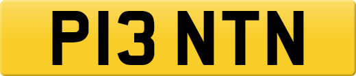 P13NTN