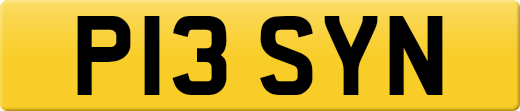 P13SYN