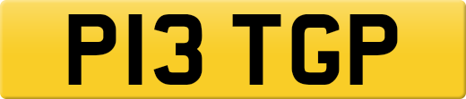 P13TGP