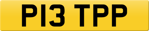 P13TPP