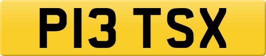 P13TSX