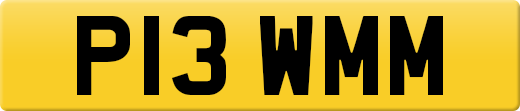 P13WMM