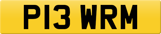 P13WRM