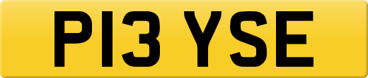 P13YSE