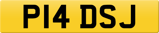 P14DSJ
