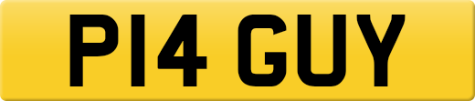 P14GUY