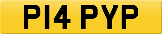 P14PYP