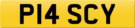 P14SCY