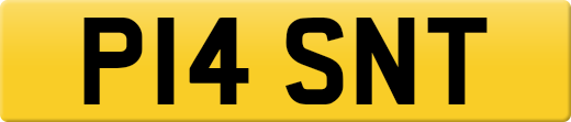 P14SNT