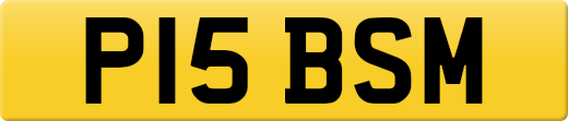 P15BSM