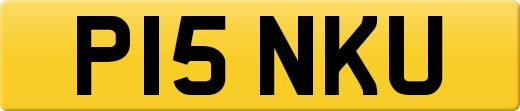 P15NKU