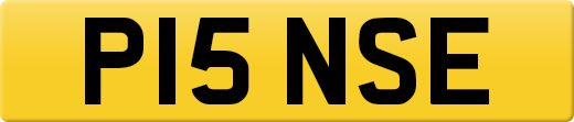 P15NSE