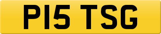 P15TSG