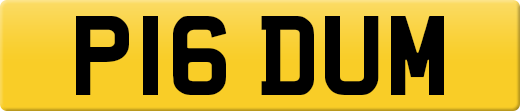 P16DUM
