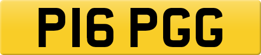 P16PGG
