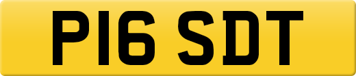 P16SDT