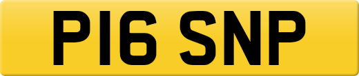 P16SNP