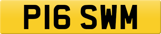 P16SWM