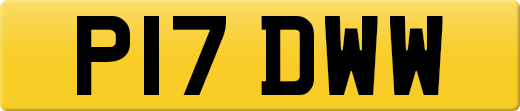 P17DWW