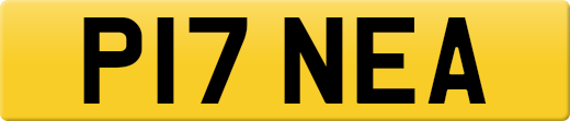 P17NEA
