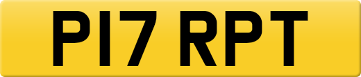 P17RPT