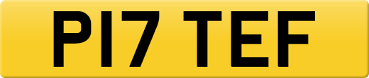 P17TEF