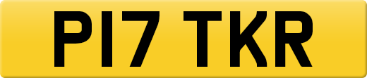 P17TKR