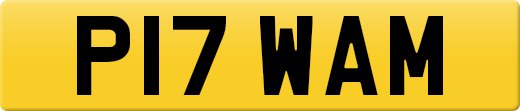 P17WAM