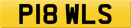 P18WLS