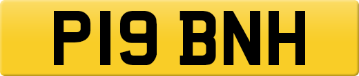 P19BNH