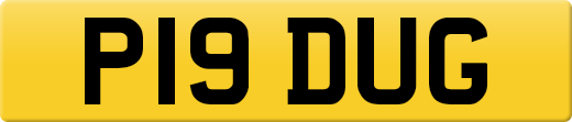 P19DUG