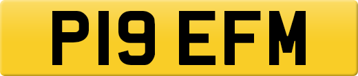 P19EFM