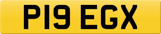 P19EGX